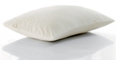 Free Tempur Travel Pillow