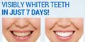 Risk-Free TRial of Total White Teeth Whitening Kit