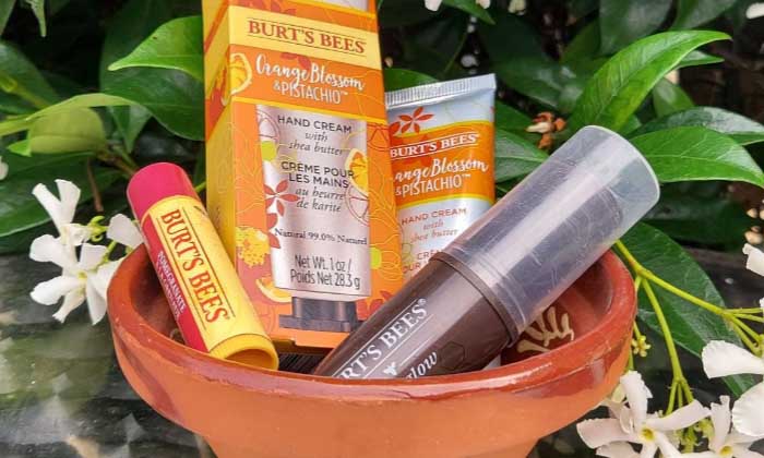 Burt's Bees