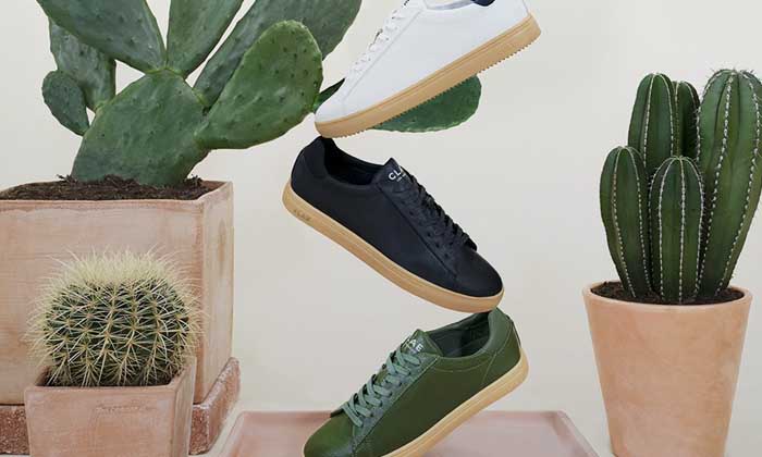 First Cactus Leather Sneaker Launch