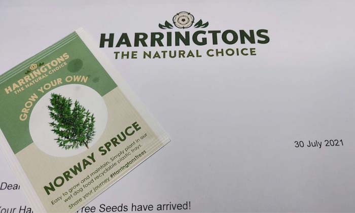 Free Stuff Proof - Norway Spruce Seeds Arrived