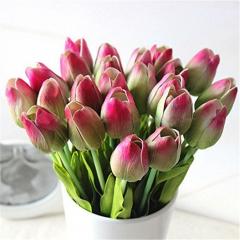 12x Silk Tulips Only £6.99!
