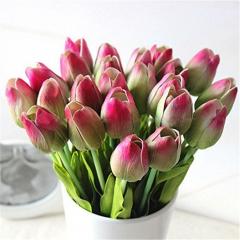 12x Silk Tulips Only 6.99!