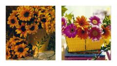 33% off 8 Flower Design Birthday Cards & Envelopes