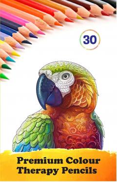 Â£2.63 for Colour Therapy Colouring Pencil Crayons
