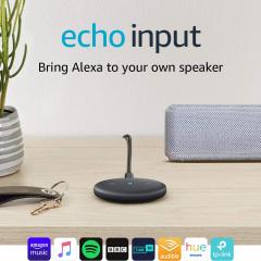 £15 off Echo Input (Black)
