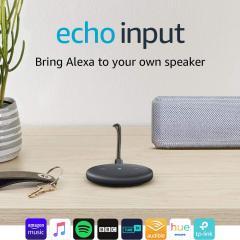 Â£15 off Echo Input (Black)