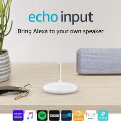 £15 off Echo Input (White)