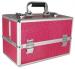 40% Off Pink Vanity Flair Large Lockable Vanity Case