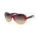 50% Off Ray Ban Sunglasses!