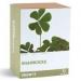 Grow a Lucky Clover 34% off just £9.93