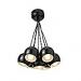 Half Price Clusta 7 Black Ceiling Light