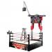 Half Price WWE Flex Force Money in the Bank Ring