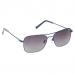 Lacoste Mens Sunglasses HALF PRICE £50!