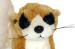 Cute Meerkat Soft Toy