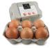 Realistic Chocolate Hens Eggs Reduced