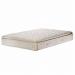 Sealy Gold Padbury Pillow Top Mattress £299