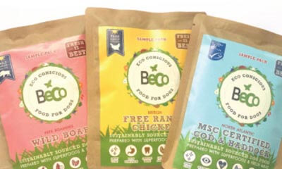 Free Sample of Beco Dries Dog Food Kibble