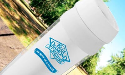 Free Blue Diamond Flask