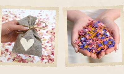 Free Confetti Petal Samples