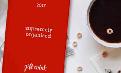 Free 2017 Gift Wink Diary