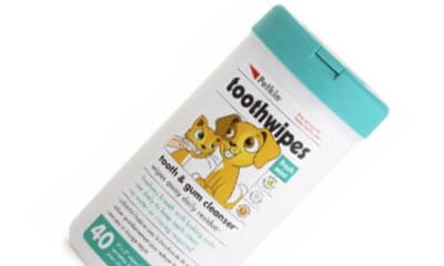 Free Advent Calendar & Pack of Pet Wipes