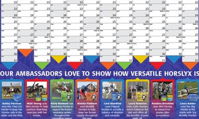 Free 2017 Horslyx Wall Planner