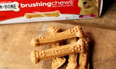 Free Pack of Milk-bone Brushing Chews for Dogs
