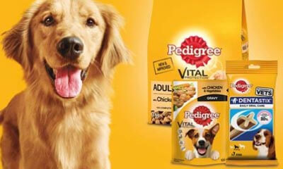 Free Pedigree Dog Food & Dentastix