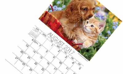 Free 2017 Pet Calendar