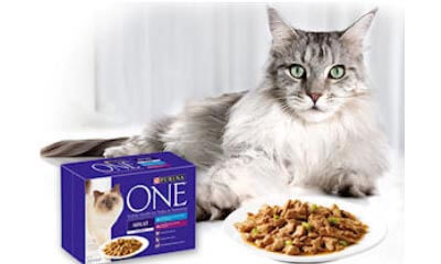 Free Purina One for Adult Cats