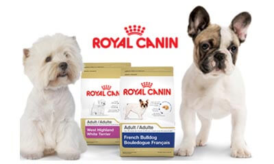 Free 400g Bag of Royal Canin or £5 off Coupon
