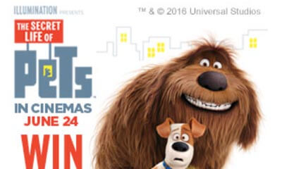 secret life of pets toys smyths