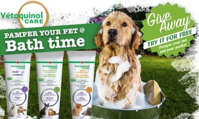 Free Vetoquinol Pet Shampoo