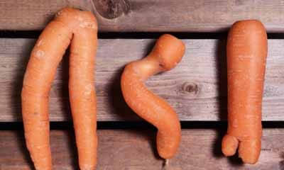 Free Wonky Carrots from Morrisons