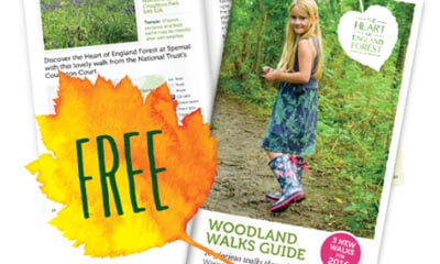 Free Woodland Walks Guide