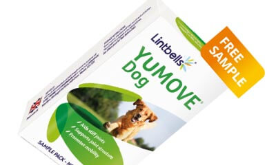 Free YuMove Dog Joint Supplement