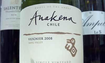 Free Case of Anakena Wine