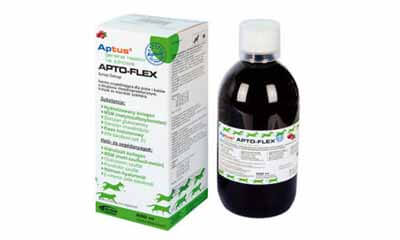Free Joint Care Syrup for Dogs