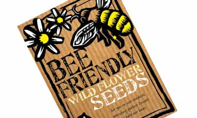 Free Wild Flower Seeds