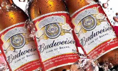 Free Bottle of Budweiser
