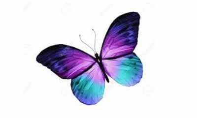 Free Face Equality Butterfly Tatoo