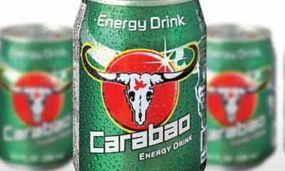 Carabao