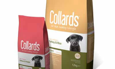 Free Collards Dog Food Sample