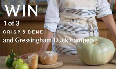 Gressingham Duck