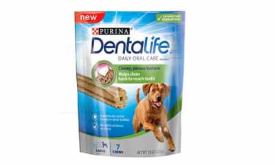 Free Purina Dentalife Dog Chew