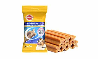 Free Pedigree Dentastix