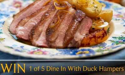 Gressingham Duck