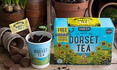 Free Seed Growing Kits from Dorset Tea
