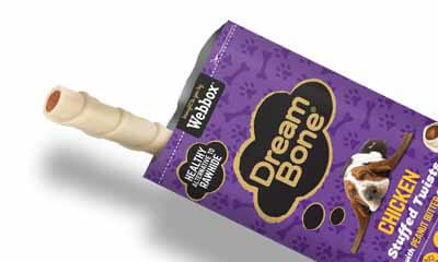 Free DreamBone Dog Treat